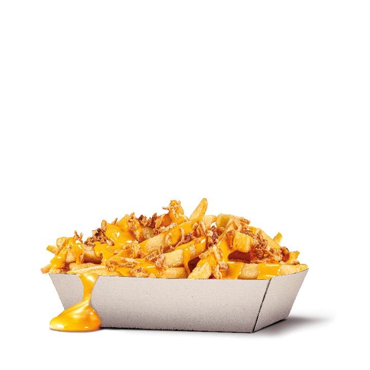 Onion Cheese Fries
